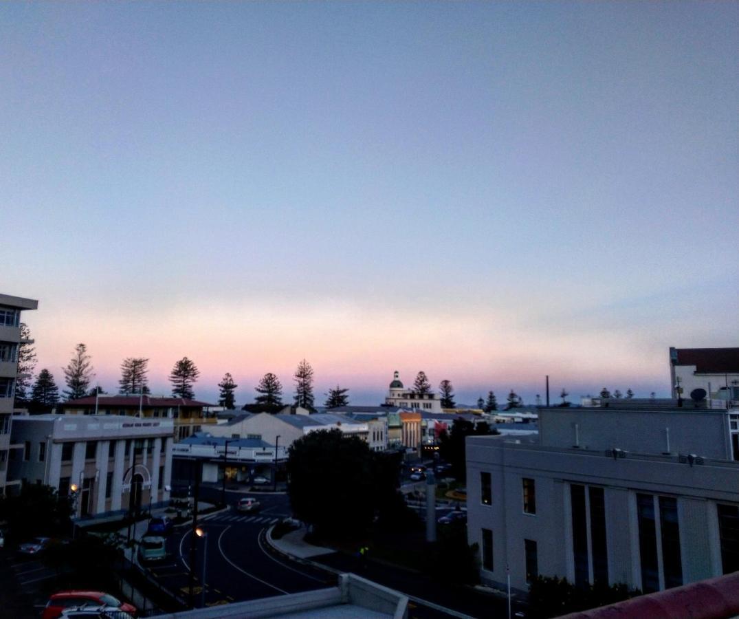 Crashpalace Backpackers Napier Exterior photo