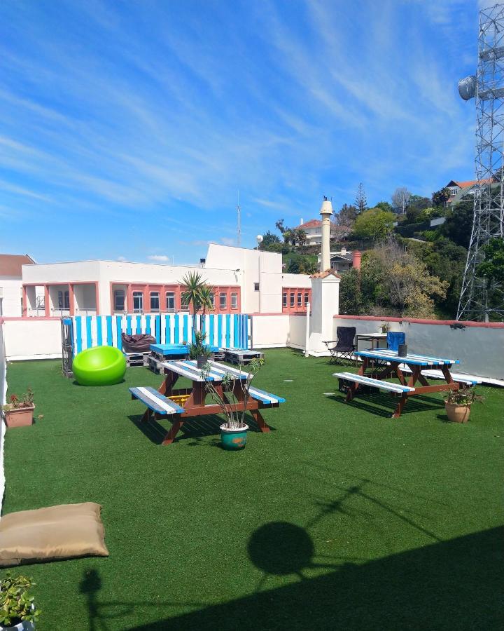 Crashpalace Backpackers Napier Exterior photo